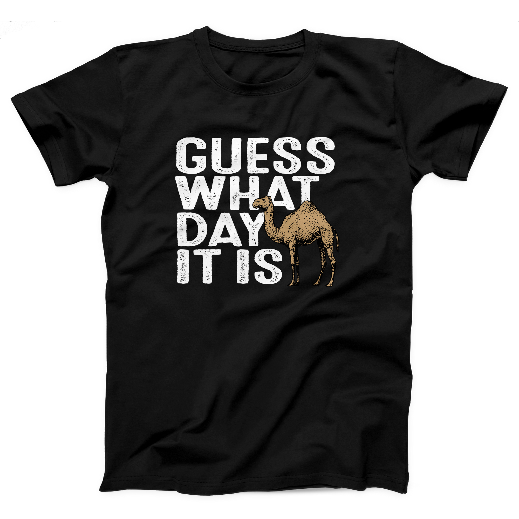 Guess What Day It Is Adult Unisex T-Shirt